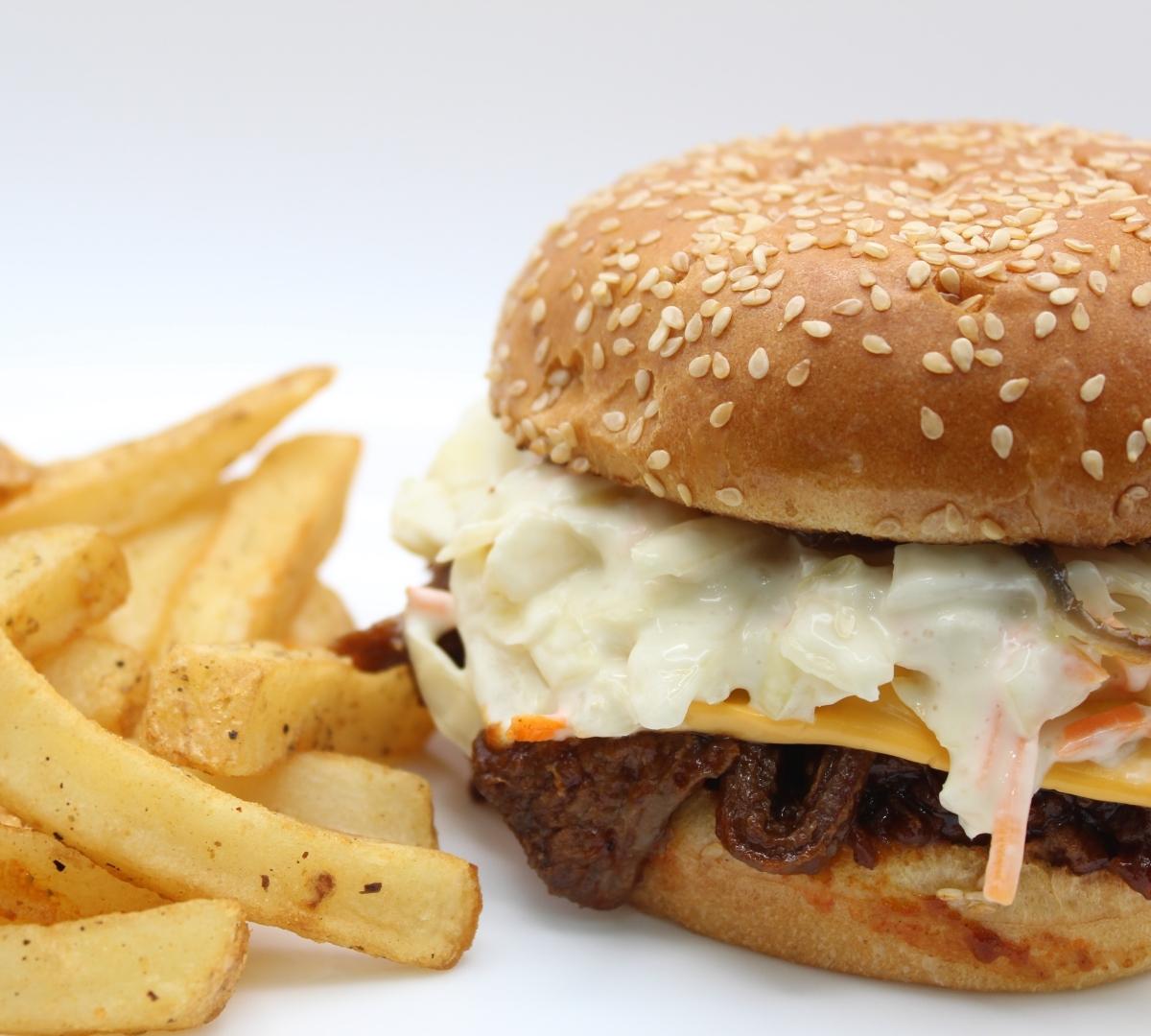 Fusion Mexican Fiesta Burger
